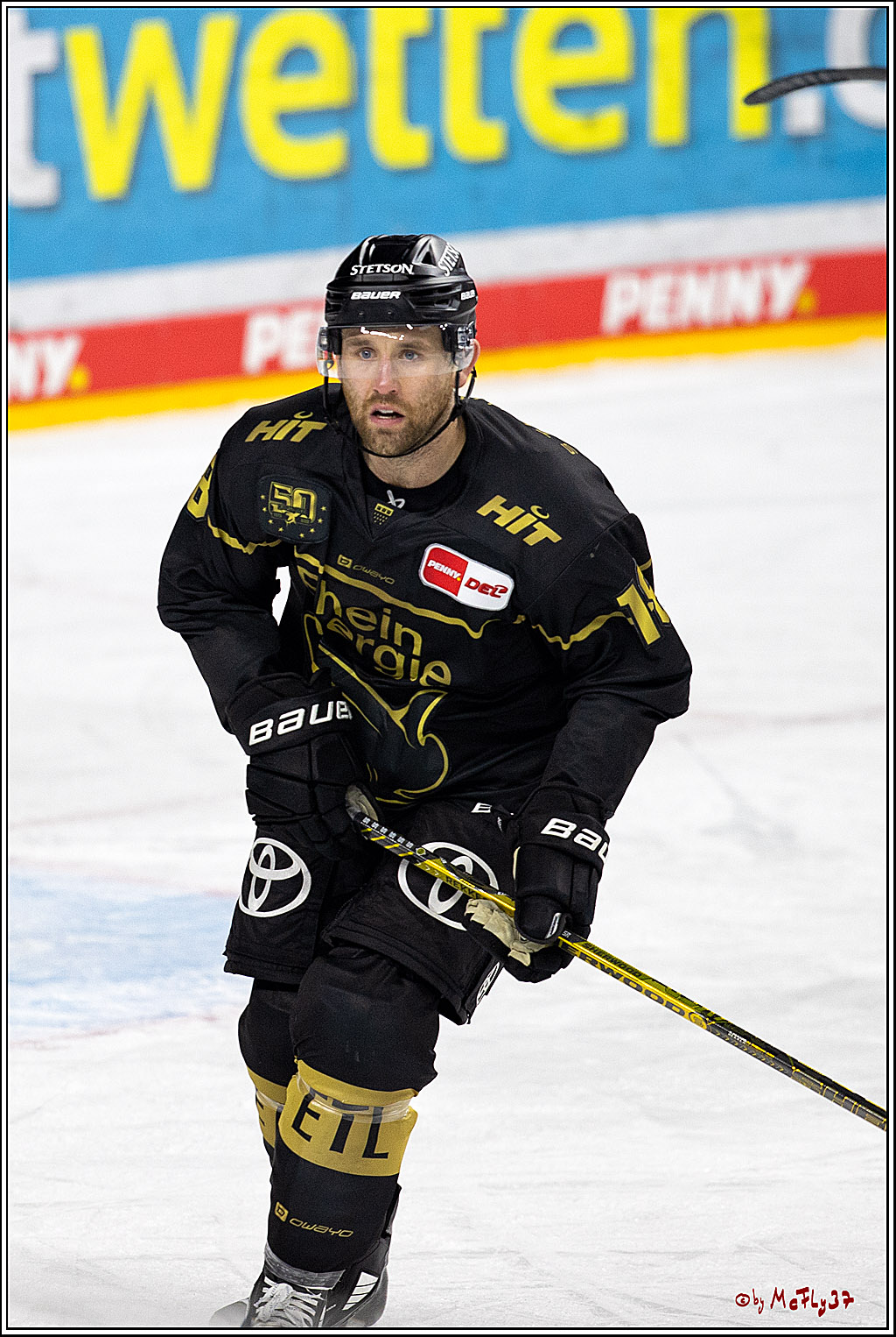 PENNY DEL;  Kölner Haie - ERC Ingolstadt; Köln, 25.11.2022